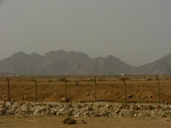 2009-04-SharmArea305